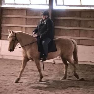 Meet your Posher, Mary